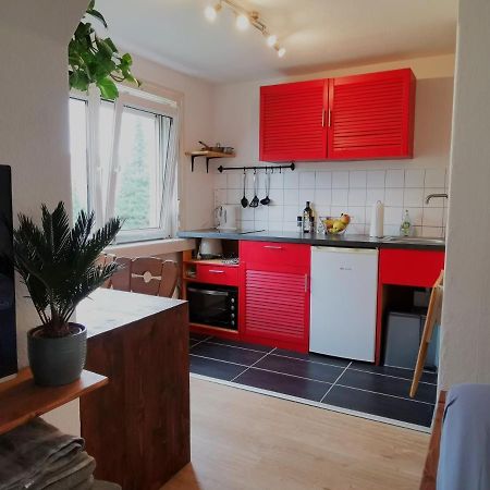 Kleines Studio Am Uni-Campus - Perfekt Fuer Junge Unternehmungslustige Dresde Extérieur photo